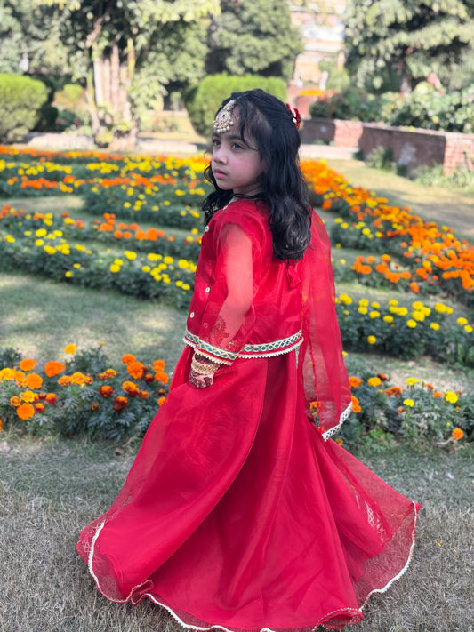 Three piece|Organza Lehnga Shirt Dupatta